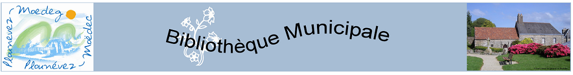 2 07 10 bibliotheque bandeau modifie